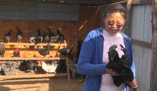 Selenge Chadraabal, Mongolia, 2017-2018 Fellow